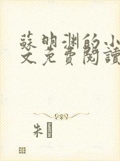 苏明渊的小说全文免费阅读无弹窗