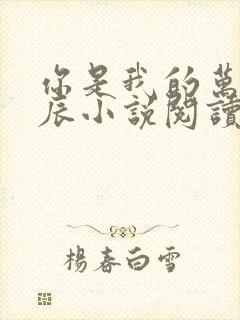 你是我的万千星辰小说阅读全文