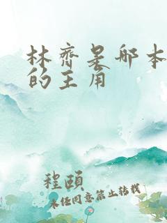 林齐是哪本小说的主角