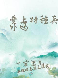 爱上特种兵有番外吗