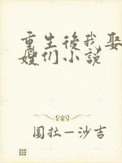 重生后我娶了嫂嫂们小说