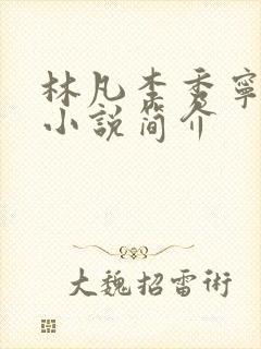 林凡李秀宁主角小说简介