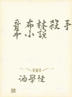 哥布林杀手第一年小说