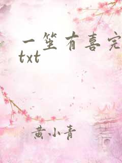 一笙有喜完整版txt