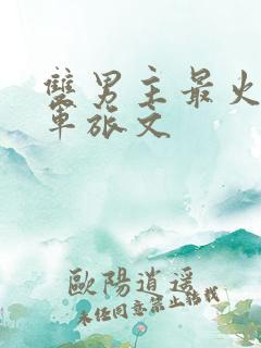 双男主最火十大军旅文