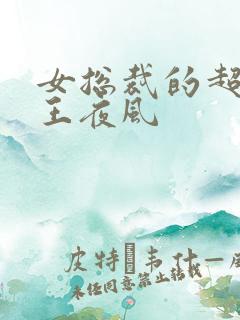 女总裁的超级兵王夜风