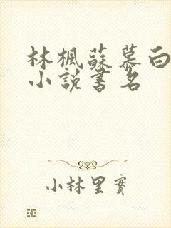 林枫苏慕白穿越小说书名