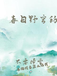 春日野穹的哥哥