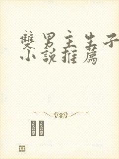 双男主生子甜文小说推荐