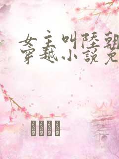 女主叫陆朝朝的穿越小说免费阅读