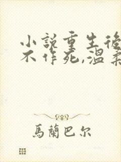 小说重生后,我不作死,温柔待校草男友在