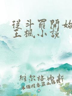 从斗罗开始打卡王枫小说