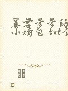 暴君爹爹的团宠小娇包 txt全本