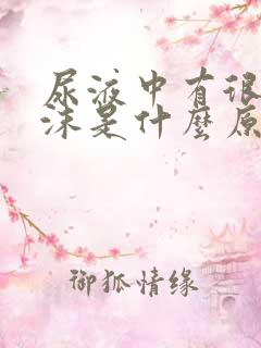 尿液中有很多泡沫是什么原因