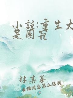 小说:重生大佬是团宠