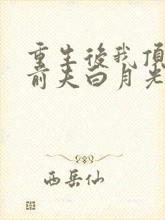 重生后我顶替了前夫白月光免费