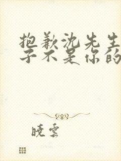 抱歉沈先生,孩子不是你的全集免费