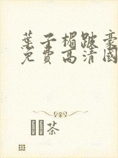 叶子楣跛豪电影免费高清国语