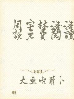 周宇林洛洛的小说免费阅读全文最新