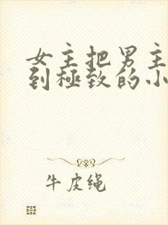 女主把男主囚禁到极致的小说