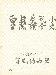 白日梦我小说免费阅读全文章节