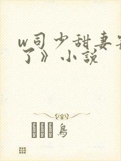 w司少甜妻宠定了》小说