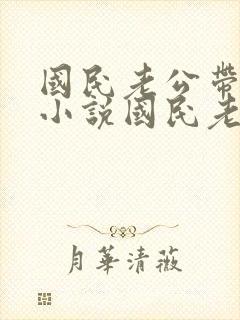 国民老公带回家小说国民老公带回家