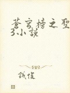 苍穹榜之圣灵纪3小说