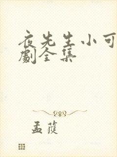 夜先生小可怜短剧全集