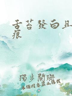 舌苔发白且有齿痕