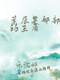 叶辰是哪部小说的主角