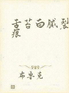 舌苔白腻裂纹齿痕