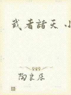 武者诸天 小说