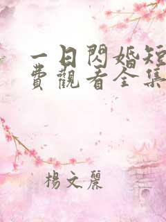 一日闪婚短剧免费观看全集