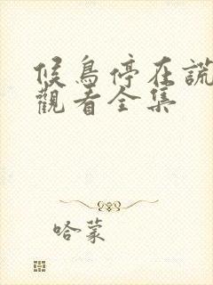 候鸟停在谎言季观看全集