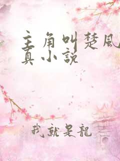 主角叫楚风的修真小说