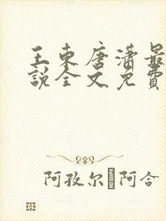 王东唐潇最新小说全文免费阅读