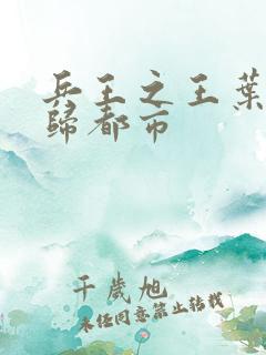 兵王之王叶凡回归都市