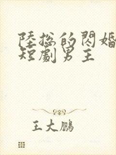 陆总的闪婚甜妻短剧男主