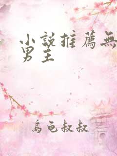 小说推荐无cp男主