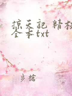 掠天记 精校版全本txt