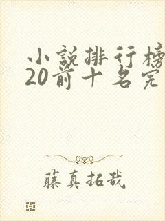小说排行榜2020前十名完结篇