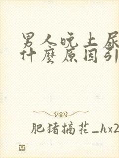 男人晚上尿多是什么原因引起的