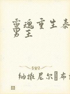 灵魂重生泰剧双男主