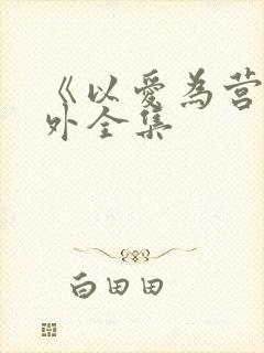 《以爱为营》番外全集