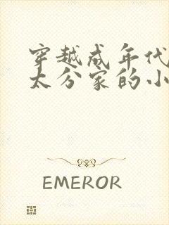 穿越成年代老太太分家的小说