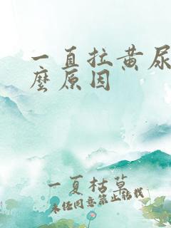 一直拉黄尿是什么原因