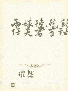 两嫁后,我的新任夫君有秘密江升全本阅读