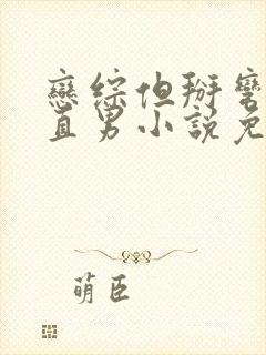 恋综但掰弯恐同直男小说免费