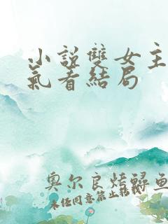 小说双女主一口气看结局